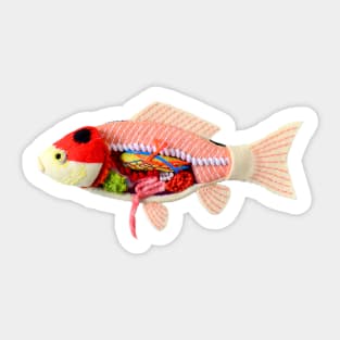 Anatomy of Nishiki-Koi Fish #2 Sticker